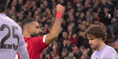 南宫28-萨拉赫迎来七赛季高光表现，法国队球迷沸腾！的简单介绍